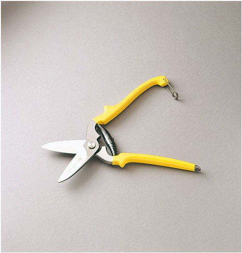 Strong scissors
