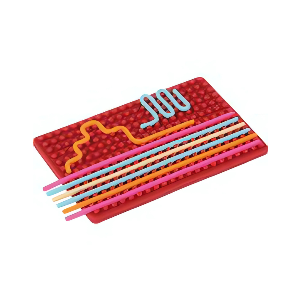 Senso-Board